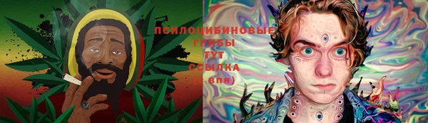 крисы Россошь