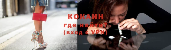 стаф Ростов