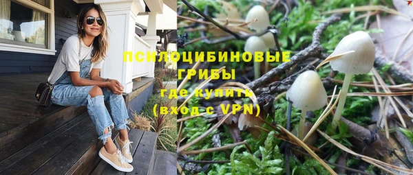 стаф Ростов