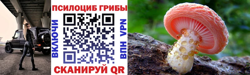 Галлюциногенные грибы Magic Shrooms  Судогда 